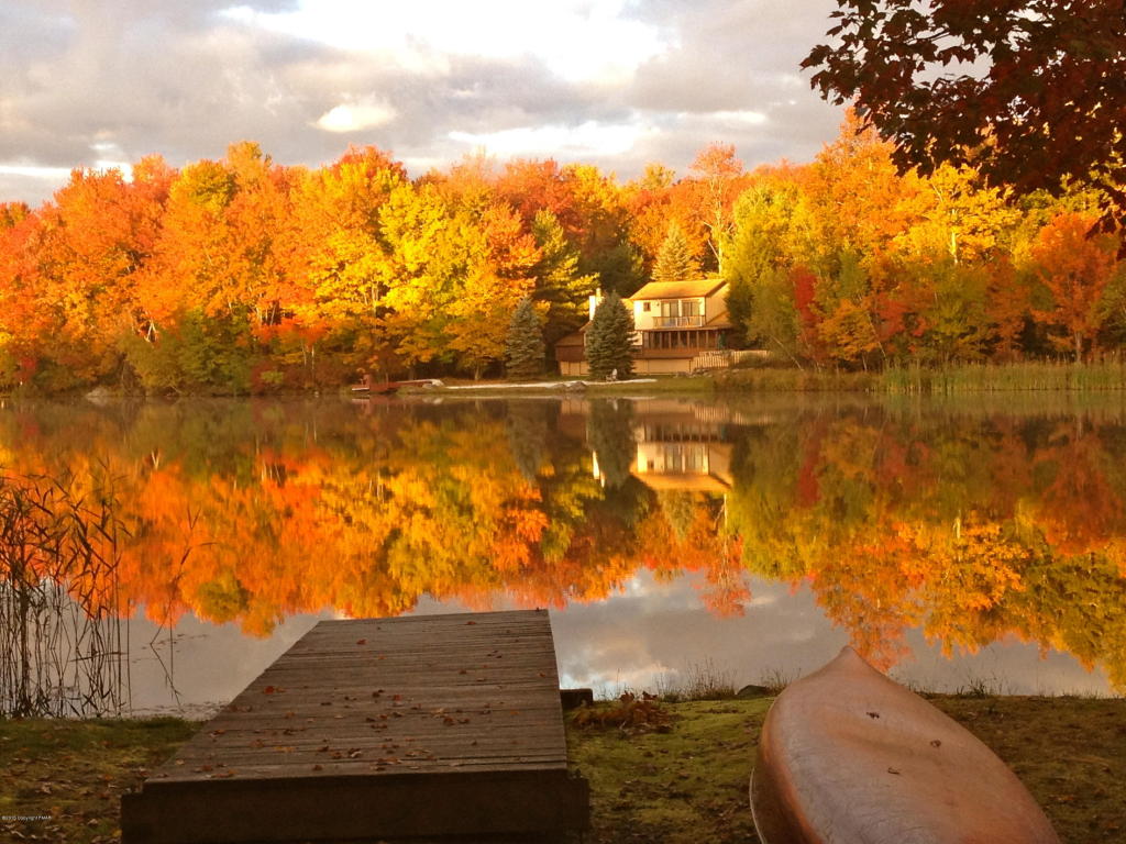 賞秋峰值就在這一兩個星期，再不去就錯過了！ Unistar LA 親子教育、生活教育、美食玩樂
